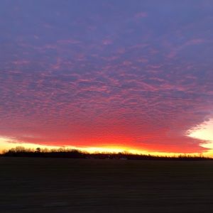 Meet your Posher, Molly